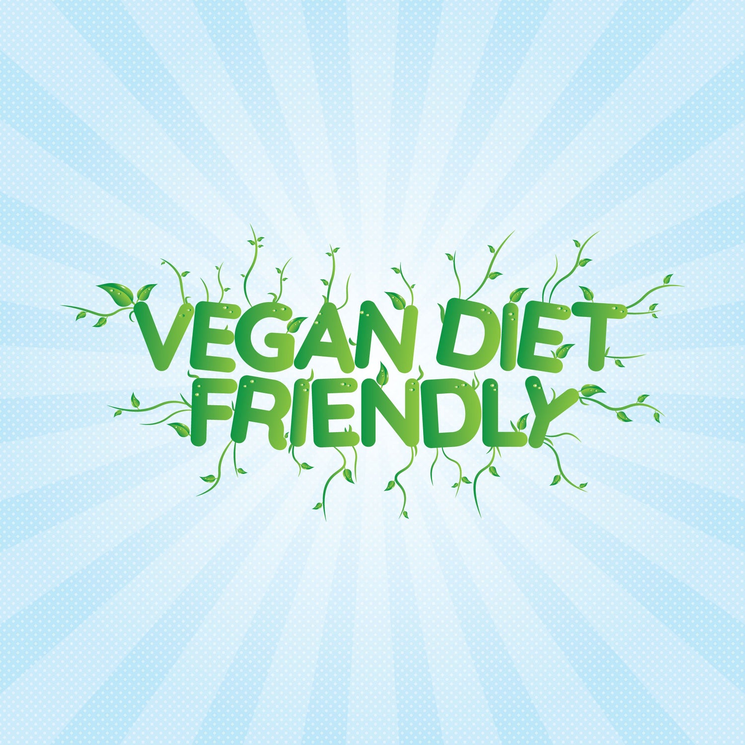 Vegan Diet Friendly