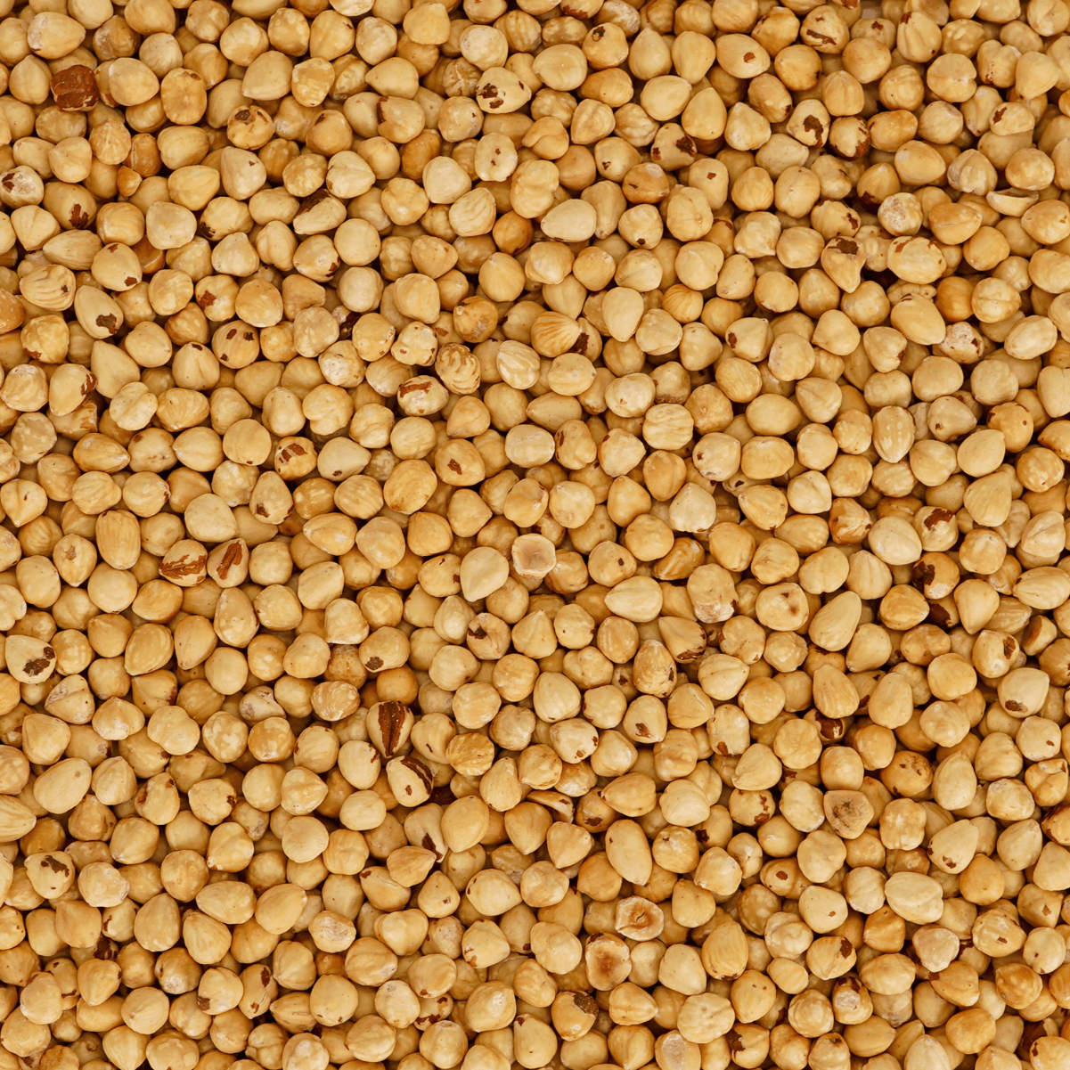 Roasted Whole Hazelnuts 800g