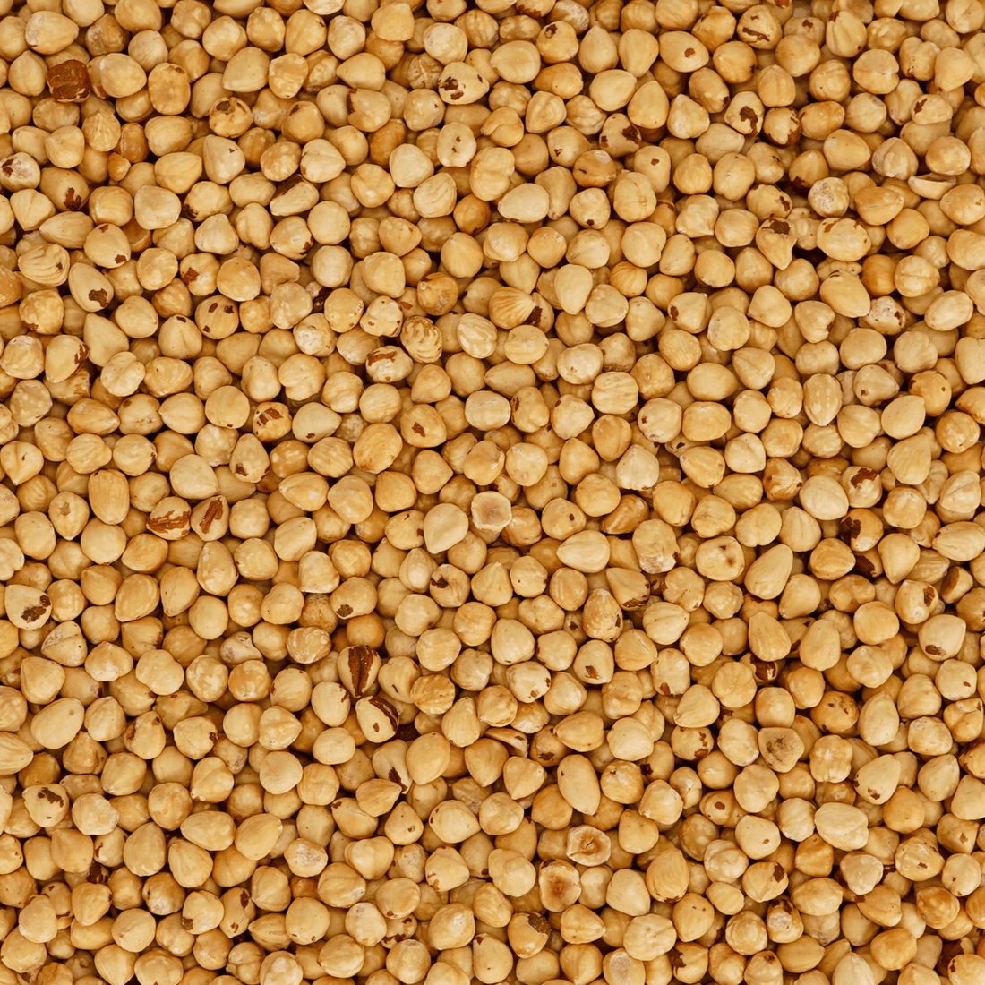 Roasted Whole Hazelnuts 800g