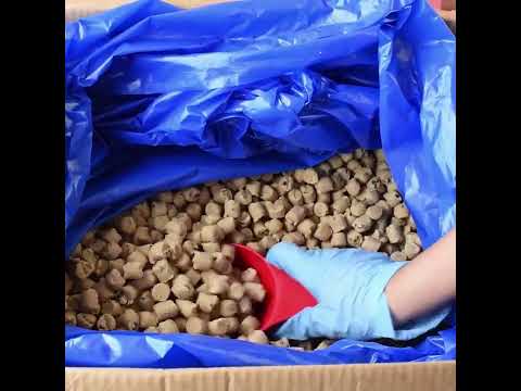 Choc Chip Cookie Dough 18kg Bulk Case